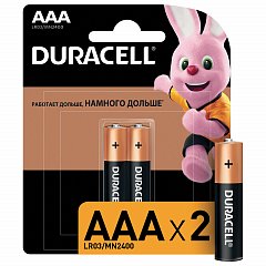Батарейки КОМПЛЕКТ 2 шт., DURACELL Basic, AAA (LR03, 24А), алкалиновые, мизинчиковые, блистер фото