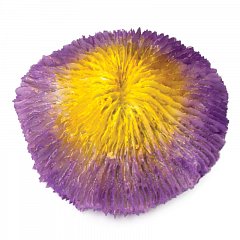Коралл искусственный "Фунгия", желто-фиолетовая, 100*40*100мм, Laguna фото