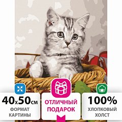 Картина по номерам 40х50 см, ОСТРОВ СОКРОВИЩ "Котёнок", на подрамнике, акриловые краски, 3 кисти, 662468 фото