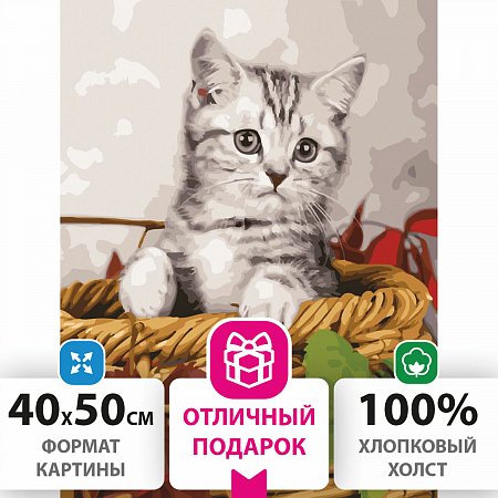 Картина по номерам 40х50 см, ОСТРОВ СОКРОВИЩ "Котёнок", на подрамнике, акриловые краски, 3 кисти, 662468 фото