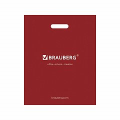 Пакет презентационно-упаковочный BRAUBERG, 32х40 см, усиленная ручка, 505499 фото