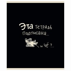 Тетрадь А5 48л. ПЗБМ скоба, клетка, матовая ламинация, брайль, Тетрадь подписана (микс в ПУ), 23447 фото