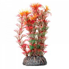 Растение "Амбулия" красная, 100мм, Laguna фото