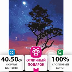 Картина по номерам 40х50 см, ОСТРОВ СОКРОВИЩ "Звездная ночь", на подрамнике, акриловые краски, 3 кисти, 662495 фото