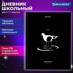 Дневник 5-11 класс 48 л., твердый, BRAUBERG, матовая ламинация, с подсказом, Штош, 107190 фото