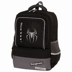 Рюкзак BRAUBERG STAR, "Spider", черный, 40х29х13 см, 229978 фото