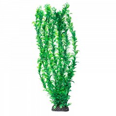 Растение "Людвигия" зеленая, 500мм, Laguna фото