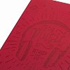 Дневник для музыкальной школы 140х210 мм, 48 л., обложка кожзам гибкая, BRAUBERG, справочный материал, красный, 105497