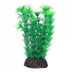 Растение "Амбулия" зеленая, 200мм, Laguna фото