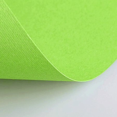 Бумага(картон) для творчества (1 лист) Fabriano Elle Erre А2+ 500*700мм, 220г/м2,св.-зелен.,42450710 фото
