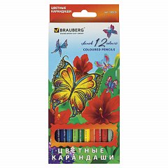Карандаши цветные BRAUBERG "Wonderful butterfly", 12 цветов, заточенные, картонная упаковка с блестками, 180535 фото