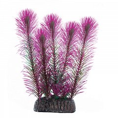 Растение "Перистолистник" фиолетовый, 100мм, Laguna фото