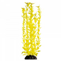 Растение "Людвигия" ярко-желтая, 400мм, Laguna фото
