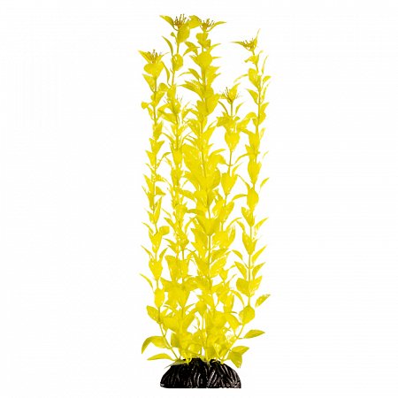 Растение "Людвигия" ярко-желтая, 400мм, Laguna фото