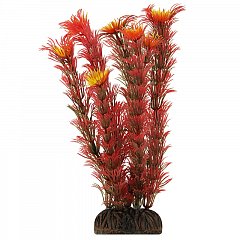 Растение "Амбулия" красная, 200мм, Laguna фото