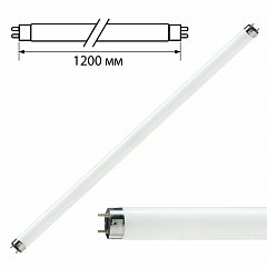 Лампа люминесцентная PHILIPS TL-D 36W/33-640, 36 Вт, цоколь G13, в виде трубки 120 см фото