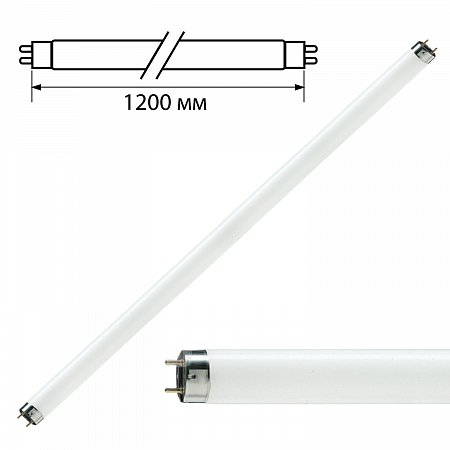 Лампа люминесцентная PHILIPS TL-D 36W/33-640, 36 Вт, цоколь G13, в виде трубки 120 см фото