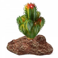 Растение "Эриокактус", 95*60*90мм, Laguna фото
