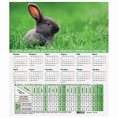 Календарь-табель на 2023 год с рабочими и выходными днями, А4 (195х225 мм), "Символ года", 114740 фото