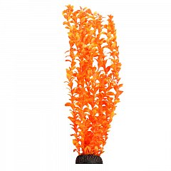Растение "Людвигия" ярко-оранжевая, 500мм, Laguna фото