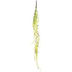 Растение для террариума "Фикус иволистный", желто-зеленый, 60*10*520мм, Laguna фото