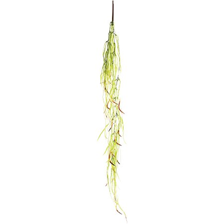 Растение для террариума "Фикус иволистный", желто-зеленый, 60*10*520мм, Laguna фото