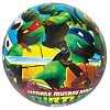 Мяч надувной полноцветный, лицензия, ПВХ, 23 см, АССОРТИ 5 видов, ИГРАЕМ ВМЕСТЕ