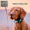 Фонарик на ошейник/шлейку/поводок для собак Matrix Ultra LED, небесно голубой