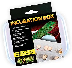 Контейнер Incubation Box для инкубации яиц, H224437 фото