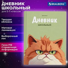 Дневник 5-11 класс 48 л., твердый, FUNSTER, выборочный лак, с подсказом, Суровый Кот, 107196 фото