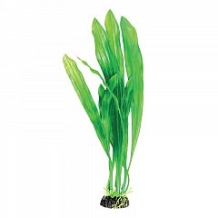 Растение "Эхинодорус" зеленый, 200мм, Laguna фото