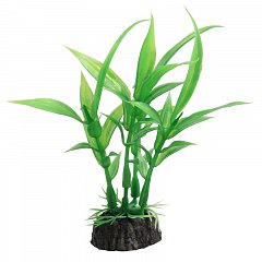 Растение "Гигрофила" зеленая, 100мм, Laguna фото