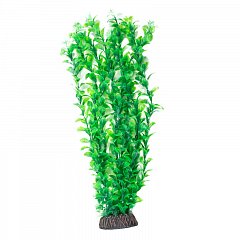 Растение "Людвигия" зеленая, 400мм, Laguna фото