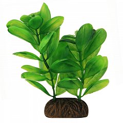 Растение "Самолюс" зеленый, 100мм, Laguna фото