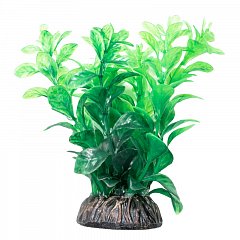 Растение "Людвигия" зеленая, 100мм, Laguna фото