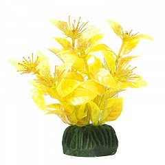 Растение "Людвигия" ярко-желтая, 100мм, Laguna фото