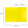 Папка на резинках BRAUBERG "Neon", неоновая, желтая, до 300 листов, 0,5 мм, 227461