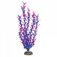 Растение "Людвигия фиолетовая", 400мм, Laguna фото