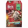 Brit Premium Особое меню в соусе для стерилизованных кошек 1190 г