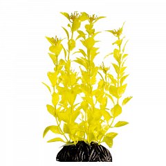 Растение "Людвигия" ярко-желтая, 200мм, Laguna фото