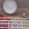 ZOLUX, Бесшумное колесо для грызунов Rody 3, цвет ярко-желтый, 206036