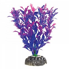 Растение "Людвигия фиолетовая", 100мм, Laguna фото
