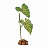 Растение с системой капельного полива Exo Terra Dripper Plant 11x7x40.5 см. PT2490