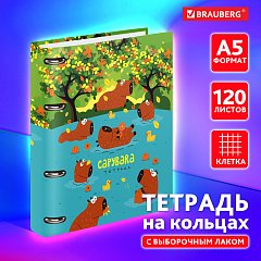 Тетрадь на кольцах А5 160х212 мм, 120 листов, картон, выборочный лак, клетка, BRAUBERG, "Капибары", 404731 фото