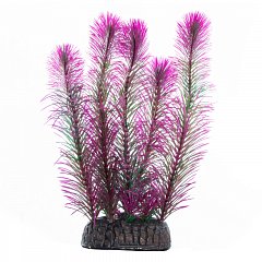 Растение "Перистолистник" фиолетовый, 200мм, Laguna фото