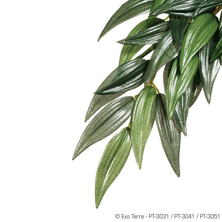Тропическое растение EX Jungle Plants пластиковое Рускус большое 70х20см PT3051 фото