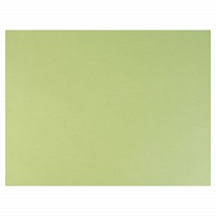 Бумага для пастели (1 лист) FABRIANO Tiziano А2+ (500х650 мм), 160 г/м2, салатовый теплый, 52551011 фото