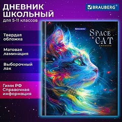 Дневник 5-11 класс 48 л., твердый, BRAUBERG, выборочный лак, с подсказом, Волшебный кот, 107197 фото