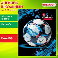 Дневник 1-11 класс 40 л., на скобе, ПИФАГОР, обложка картон, Футбол, 107136 фото