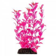 Растение "Людвигия" ярко-розовая, 300мм, Laguna фото